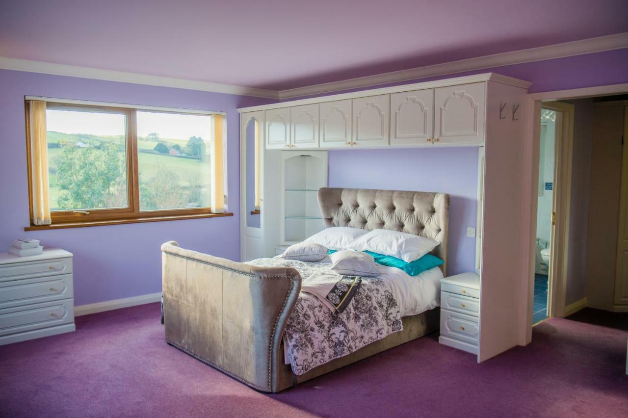 Y Grange Bed & Breakfast Llanfihangel-y-Creuddyn Dış mekan fotoğraf