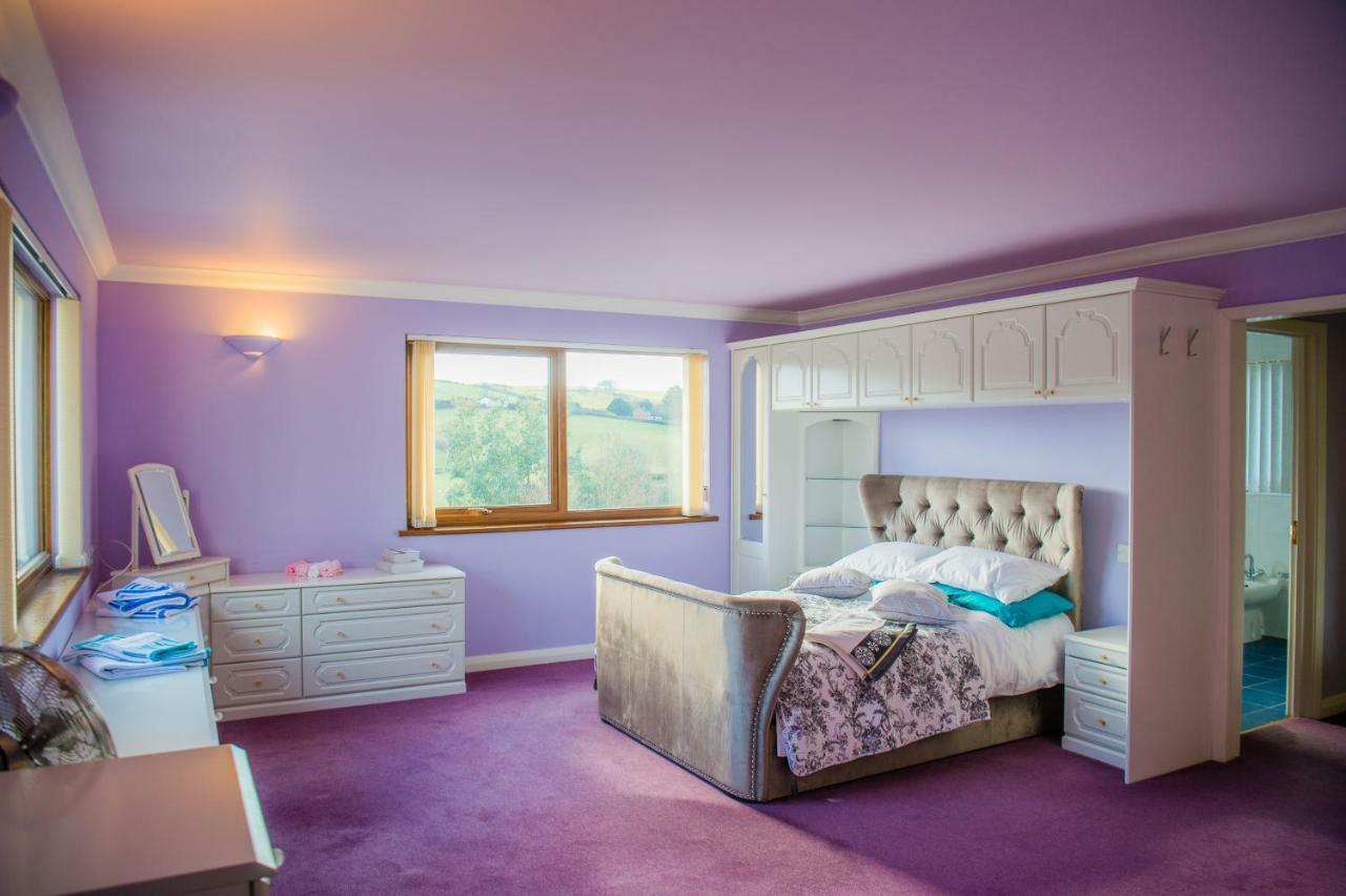 Y Grange Bed & Breakfast Llanfihangel-y-Creuddyn Dış mekan fotoğraf