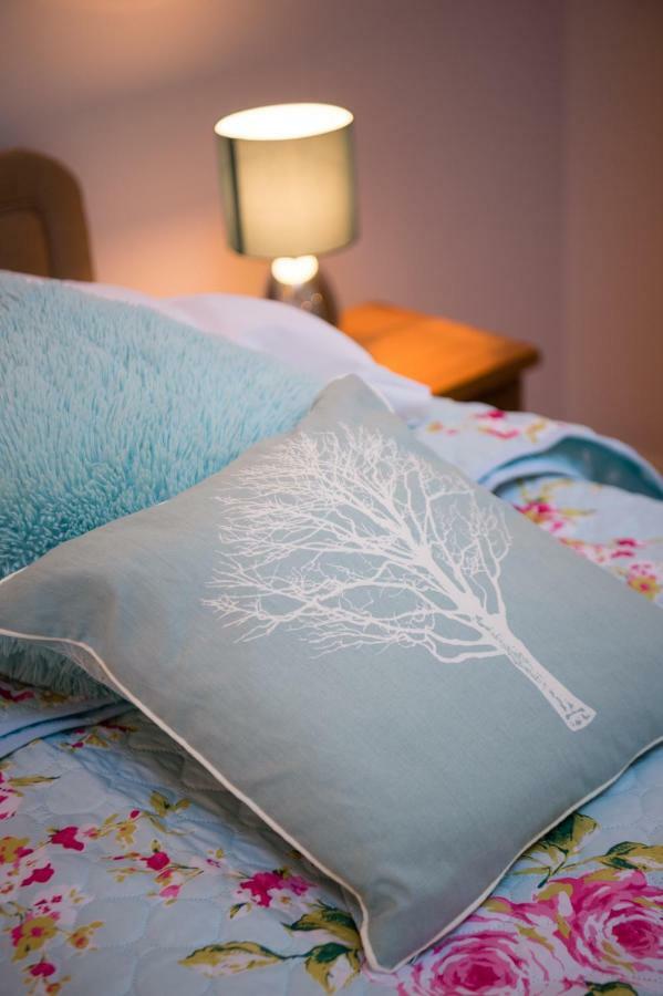 Y Grange Bed & Breakfast Llanfihangel-y-Creuddyn Dış mekan fotoğraf
